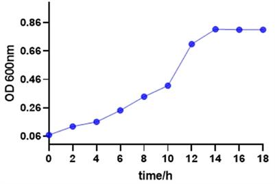 Antimicrobial mechanism of semi-bionic extracts of three traditional medicinal plants—Rheum palmatum L., Scutellaria baicalensis Georgi, and Houttuynia cordata Thunb—That can be used as antibiotic alternatives